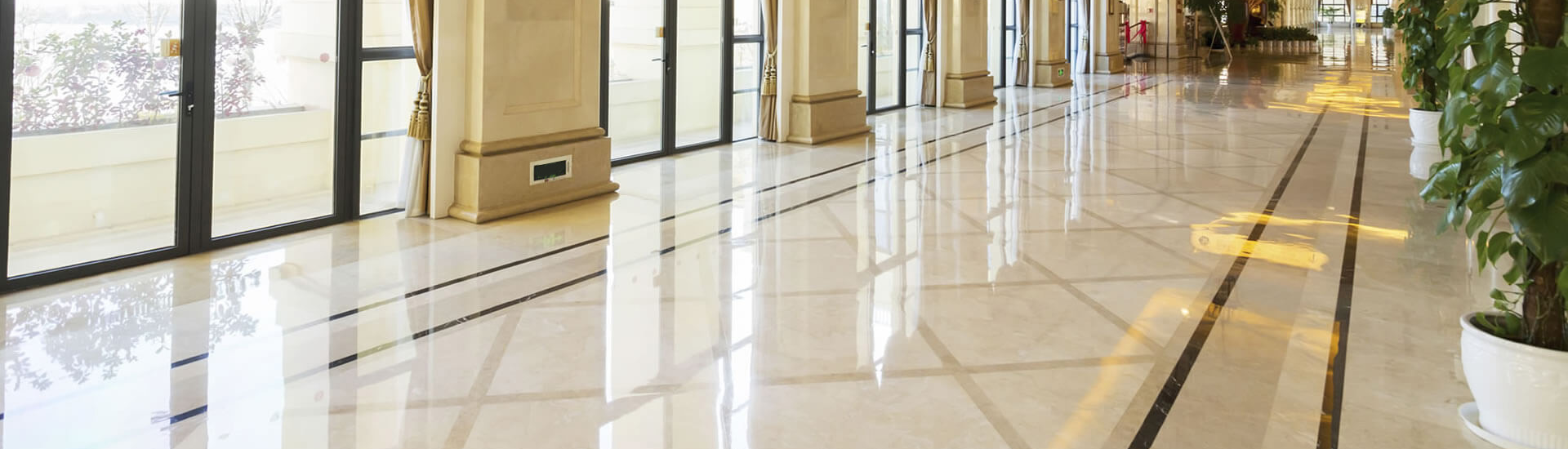 Tile Care Products